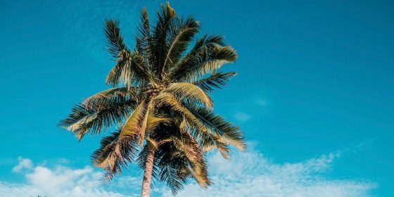 Summer via Delta! Newark, Miami, Charlotte, Washington DC, Dallas, Houston to Belize from $232 R/T