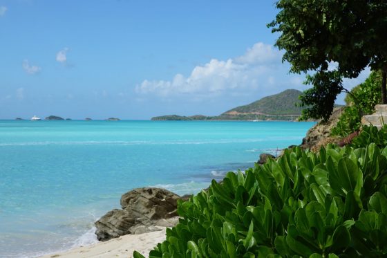 Nonstop via AA! New York to Antigua for $260 R/T