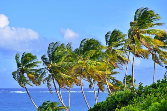 Nonstop flights to Barbados from Newark for $364 R/T