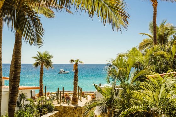 Nonstop flights to Los Cabos, Mexico from $227 R/T
